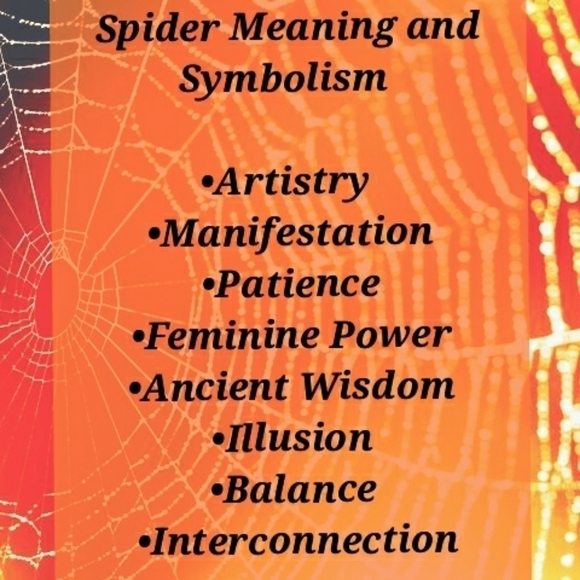 Women's Gothic Witchy Spider Ring Hypoallergenic Stainless Steel - Picture 5 of 13